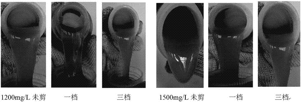 Deep profile control and flooding agent having low initial viscosity and preparation method thereof