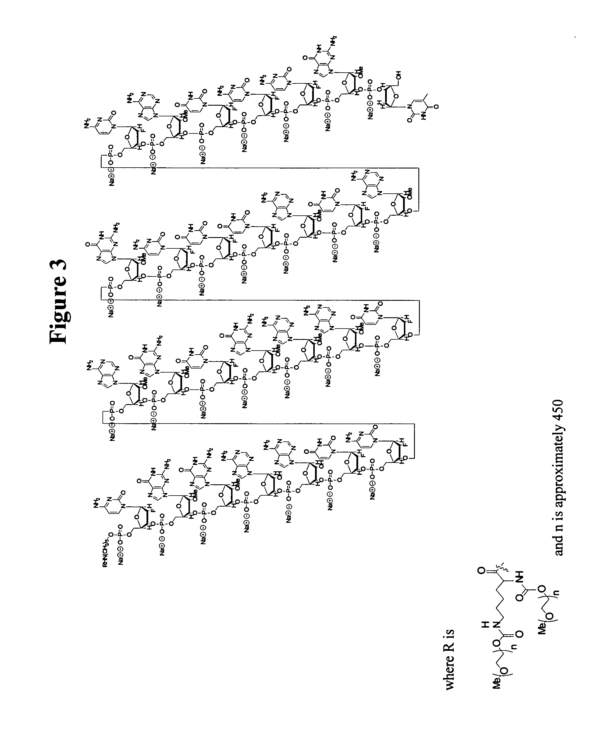 Detection of oligonucleotides by dual hybridization