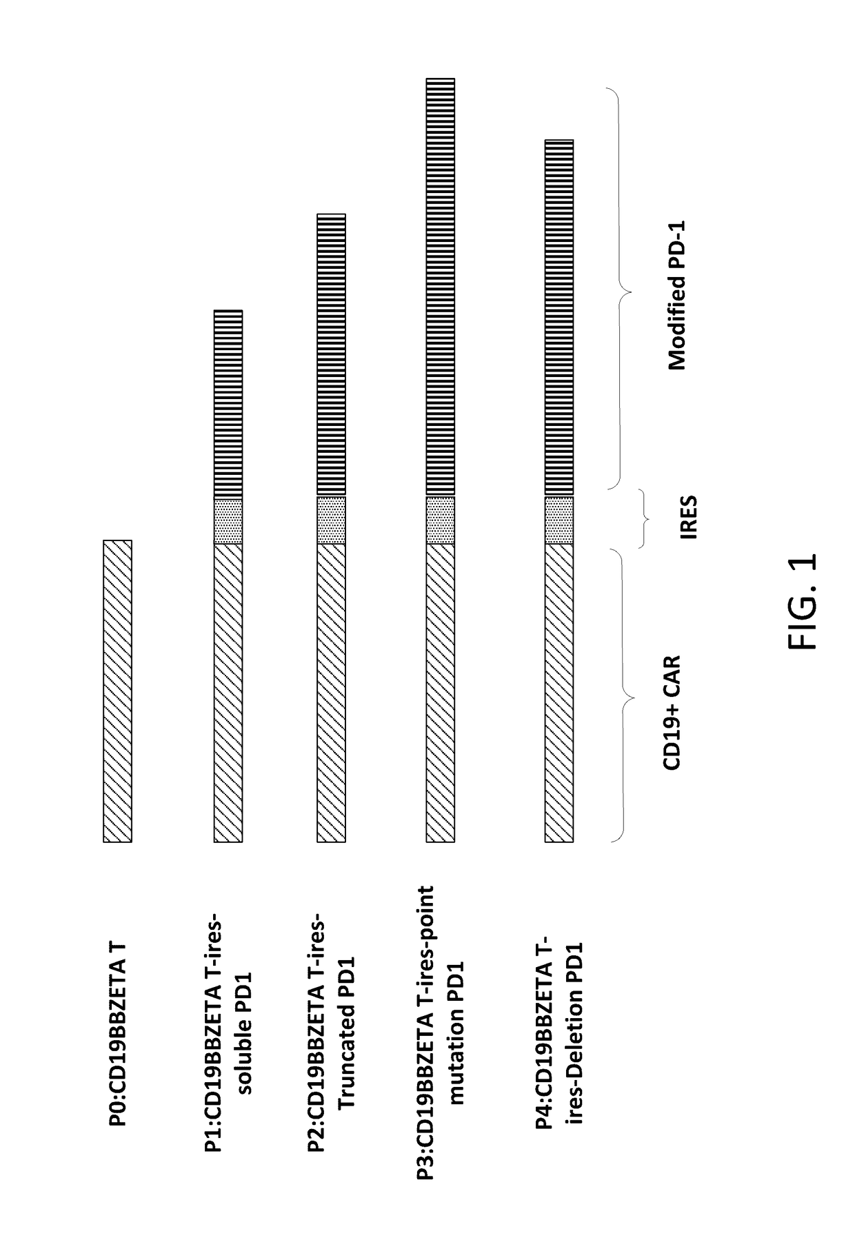 Reducing Immune Tolerance Induced by PD-L1