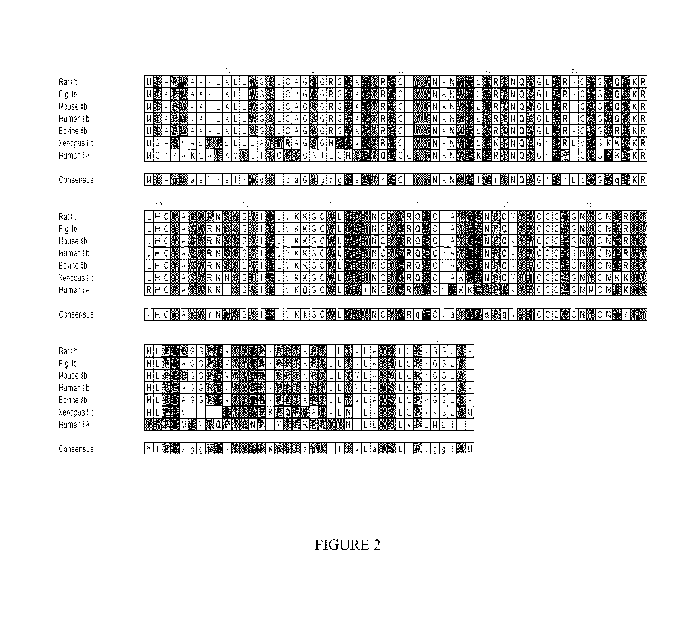 Methods for treating myelodysplastic syndromes and sideroblastic anemias