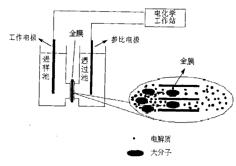 Gold nano-channel membrane for detecting atrazine and application thereof