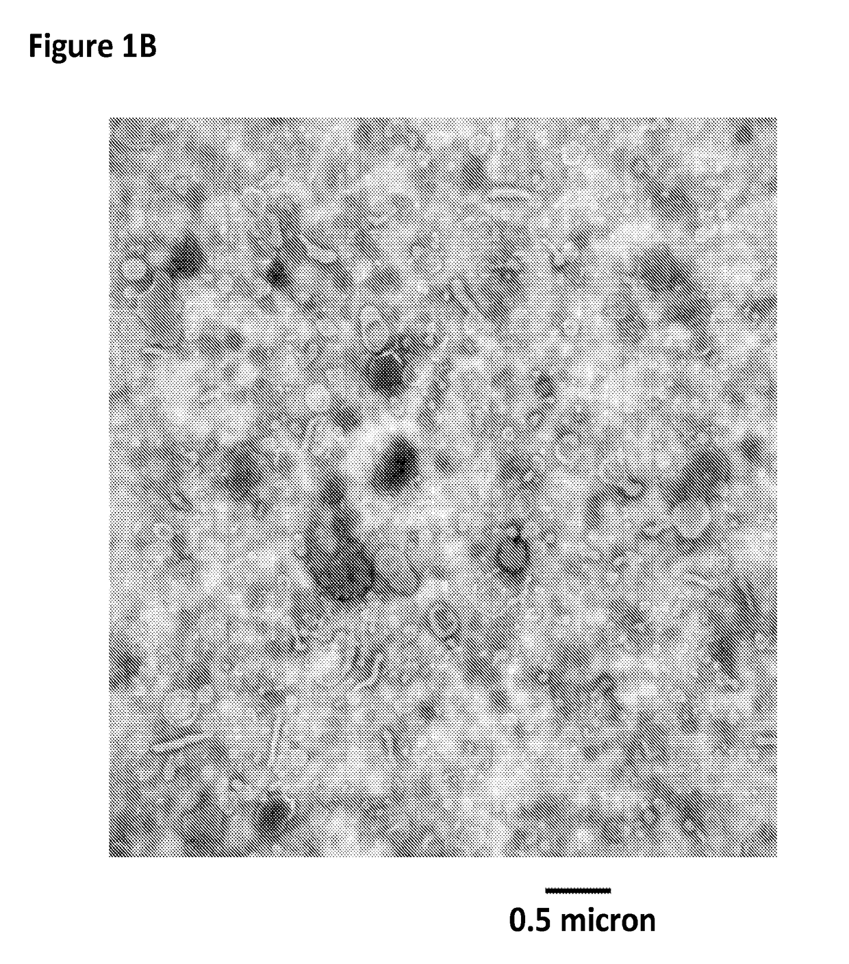 Thermostable, chromatographically purified nano-vlp vaccine