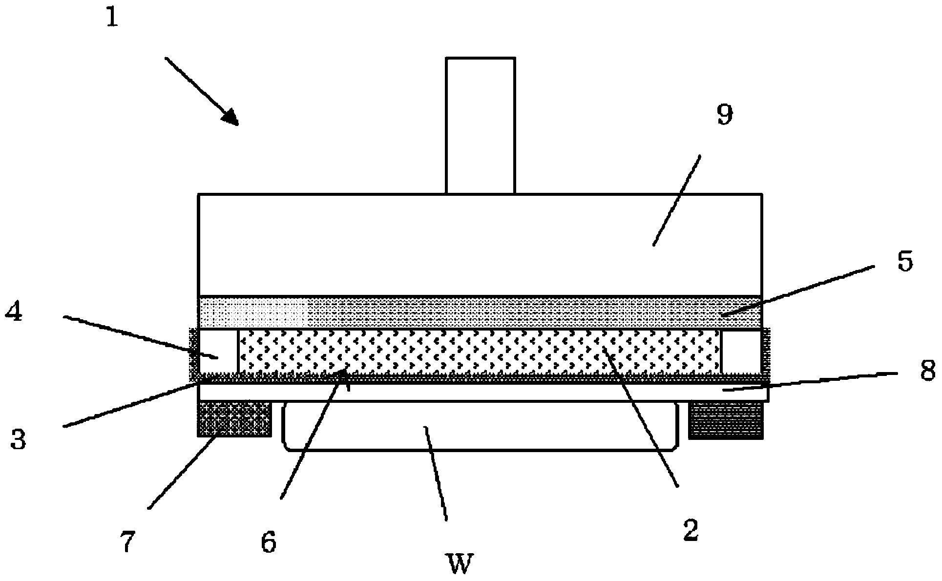 Polishing head and polishing apparatus