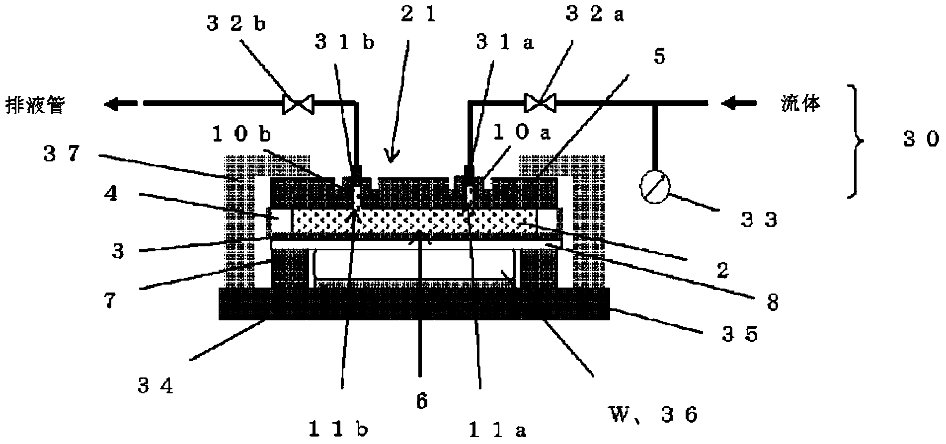 Polishing head and polishing apparatus