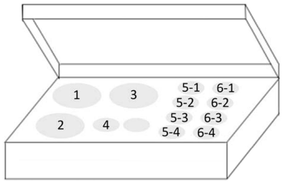 Multiplex fluorescent quantitative RT-PCR (reverse transcription-polymerase chain reaction) kit for detecting hematogenous infectious viruses