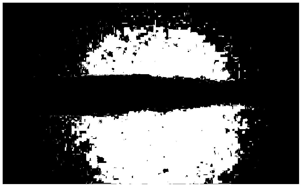 Method for preparing novel larval and juvenile fish specimens