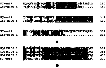 Thermophilic streptomyces hygroscopicus cDNA library construction, and expression and expression methods of two greenhouse farmer's lungpathopoiesia antigen polypeptides