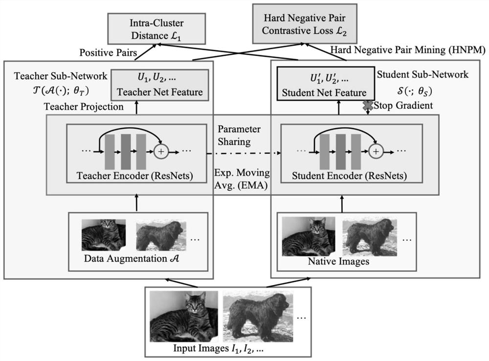 Neural network model training method, image feature extraction method and related device