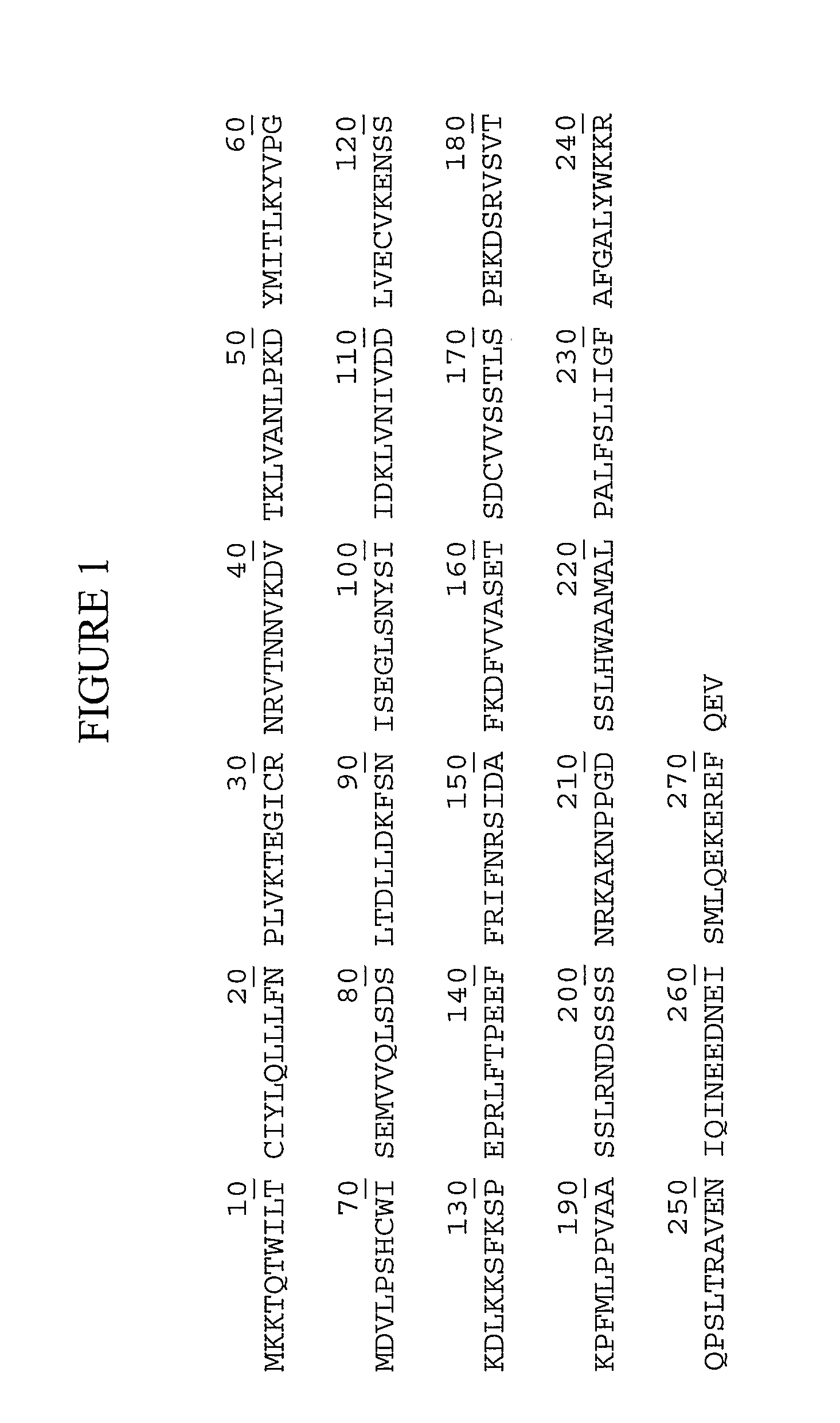 Membrane bound stem cell factor therapy for ischemic heart