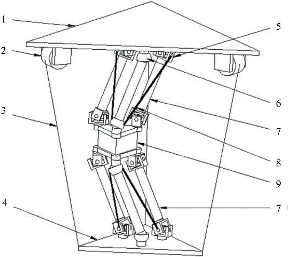 Rope parallel device based on translation constraint structure