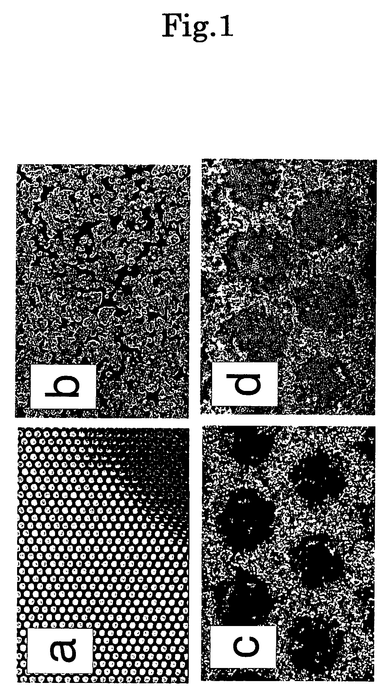 Bed material for cell culture, method for co-culture of cell and co-cultured cell sheet obtainable therefrom