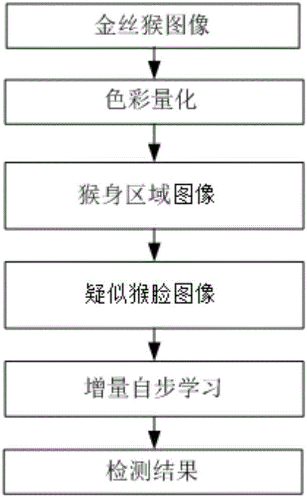 Golden monkey face detection method based on increment self-paced learning and regional color quantification