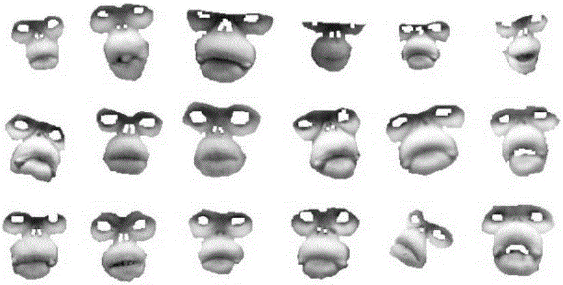 Golden monkey face detection method based on increment self-paced learning and regional color quantification