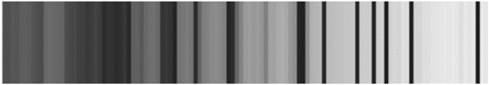 Golden monkey face detection method based on increment self-paced learning and regional color quantification