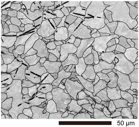 Device and method for preparing high-density twin crystal material