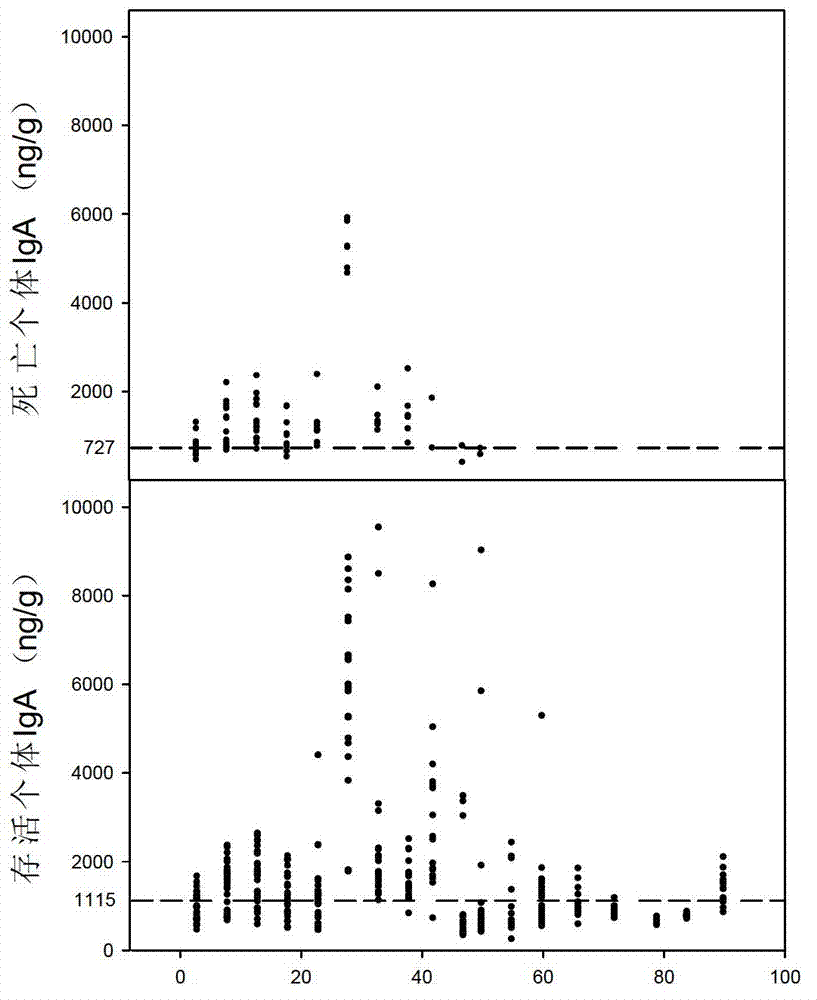 Method for judging physical conditions of brown-eared pheasant chickens through non-invasive sampling method and for grouping feeding