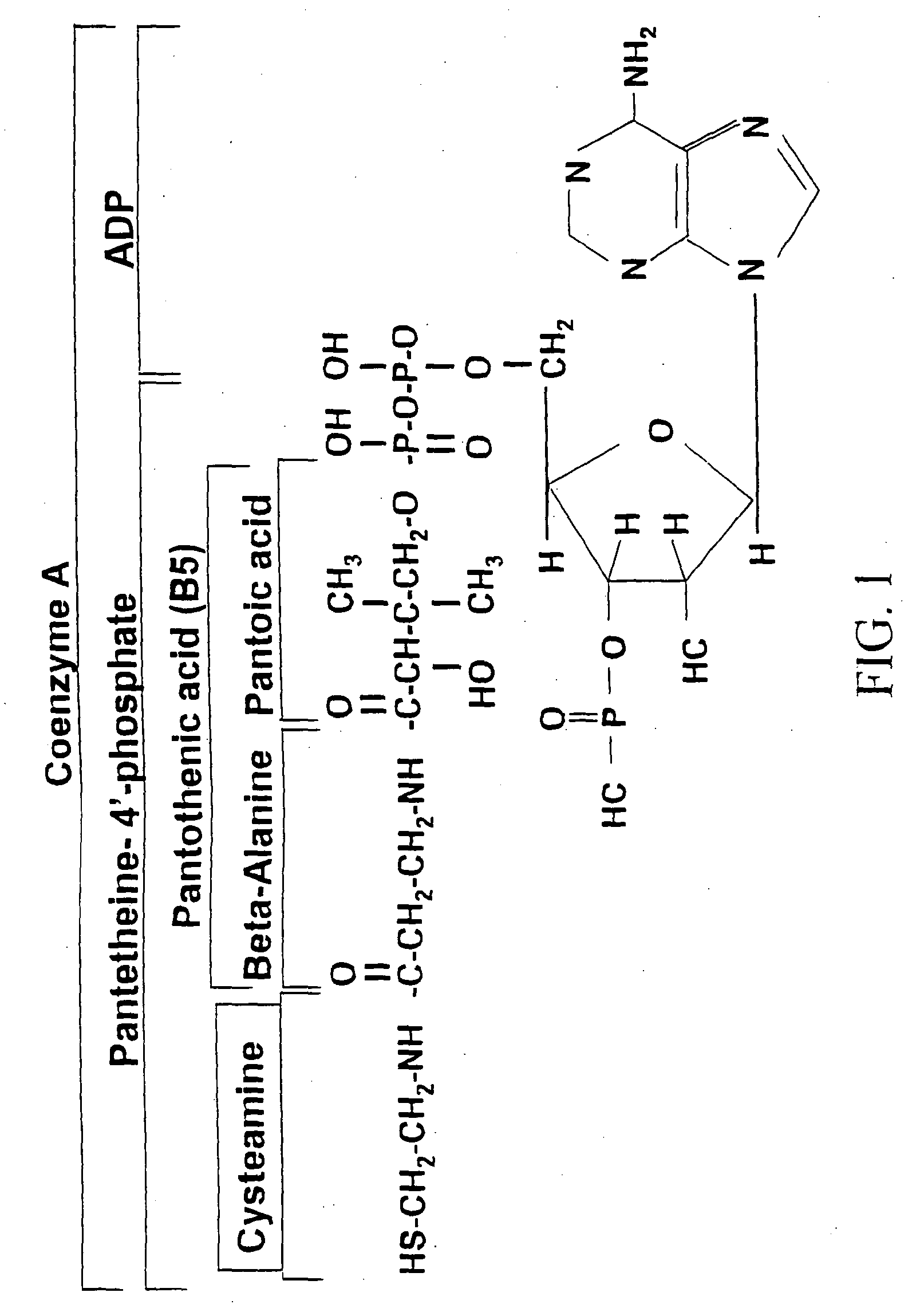 Materials and Methods for Improving Livestock Productivity