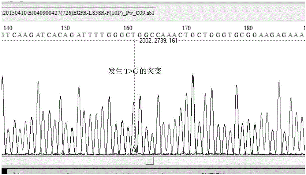 Statistics verification method for high-throughput sequencing mutation detection results