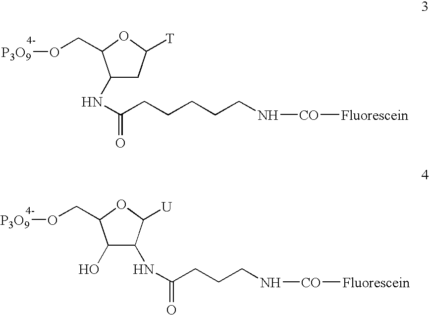 Nucleic acid analysis techniques