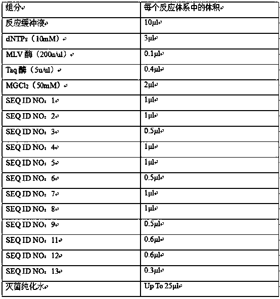 Detection kit for HPIV (human parainfluenza virus) triple nucleic acid