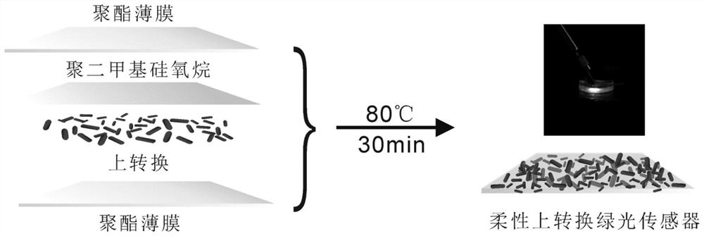 A kind of flexible up-conversion green light sensor for living body and its preparation method