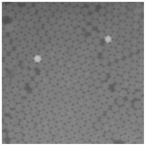 PCR enhancer composition, droplet-type reverse transcription digital PCR solution and application