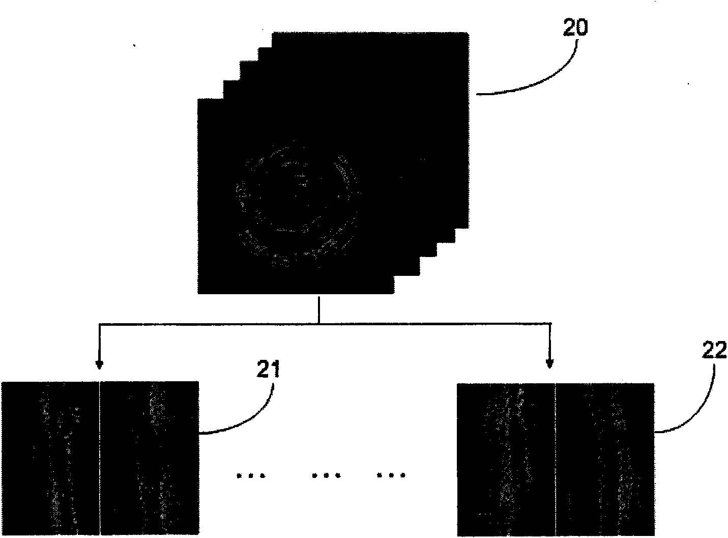 Method for partitioning internal layer of tubular structure