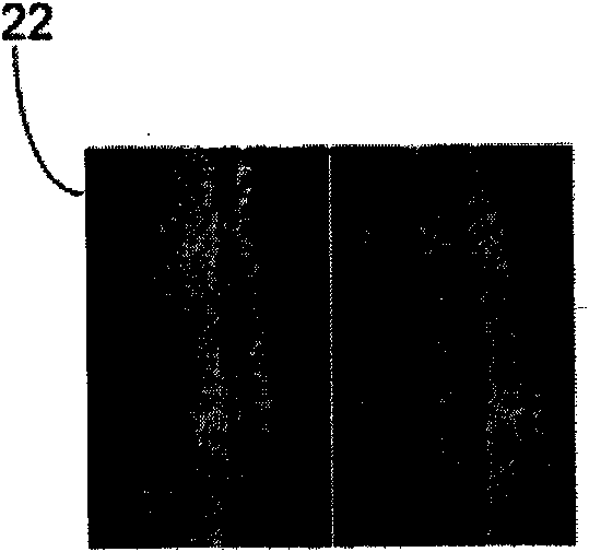 Method for partitioning internal layer of tubular structure