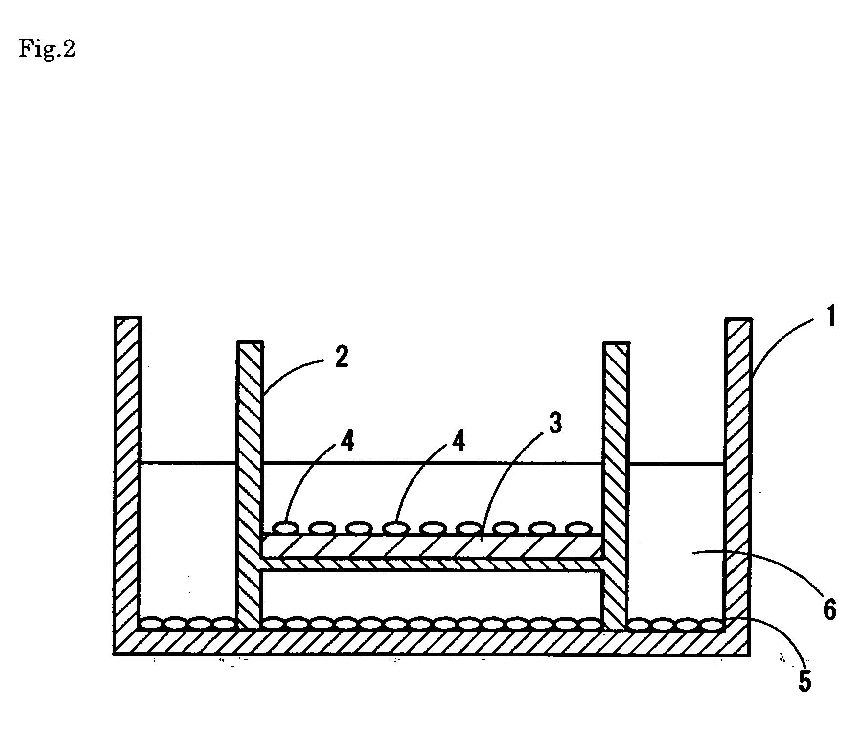 Ectocornea-like sheet and method of constructing the same