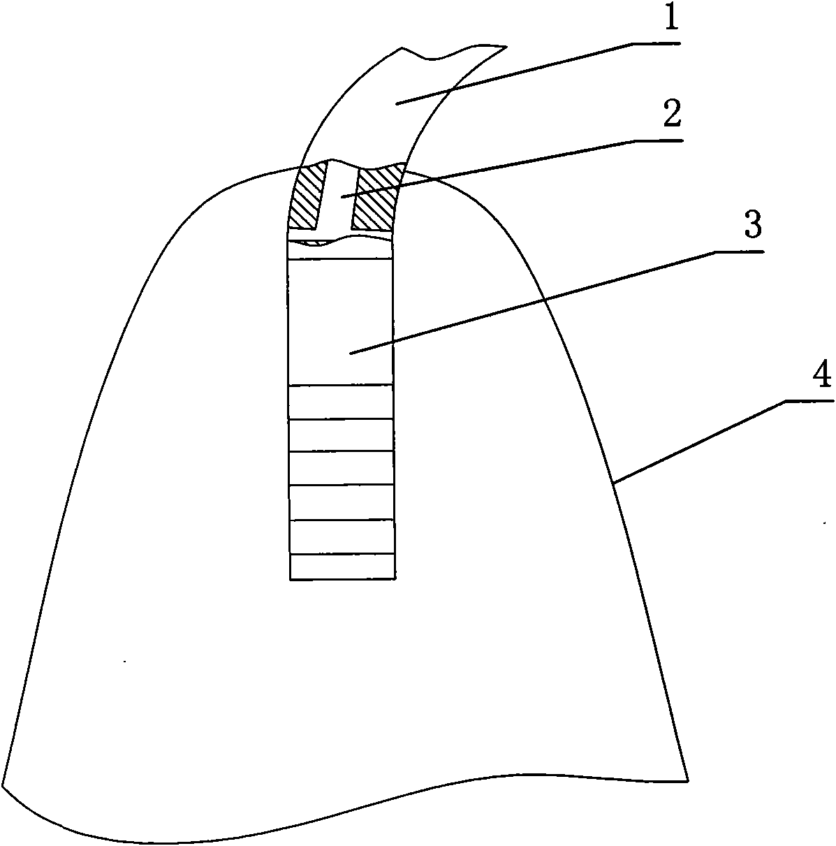 Heating device for motorcycle