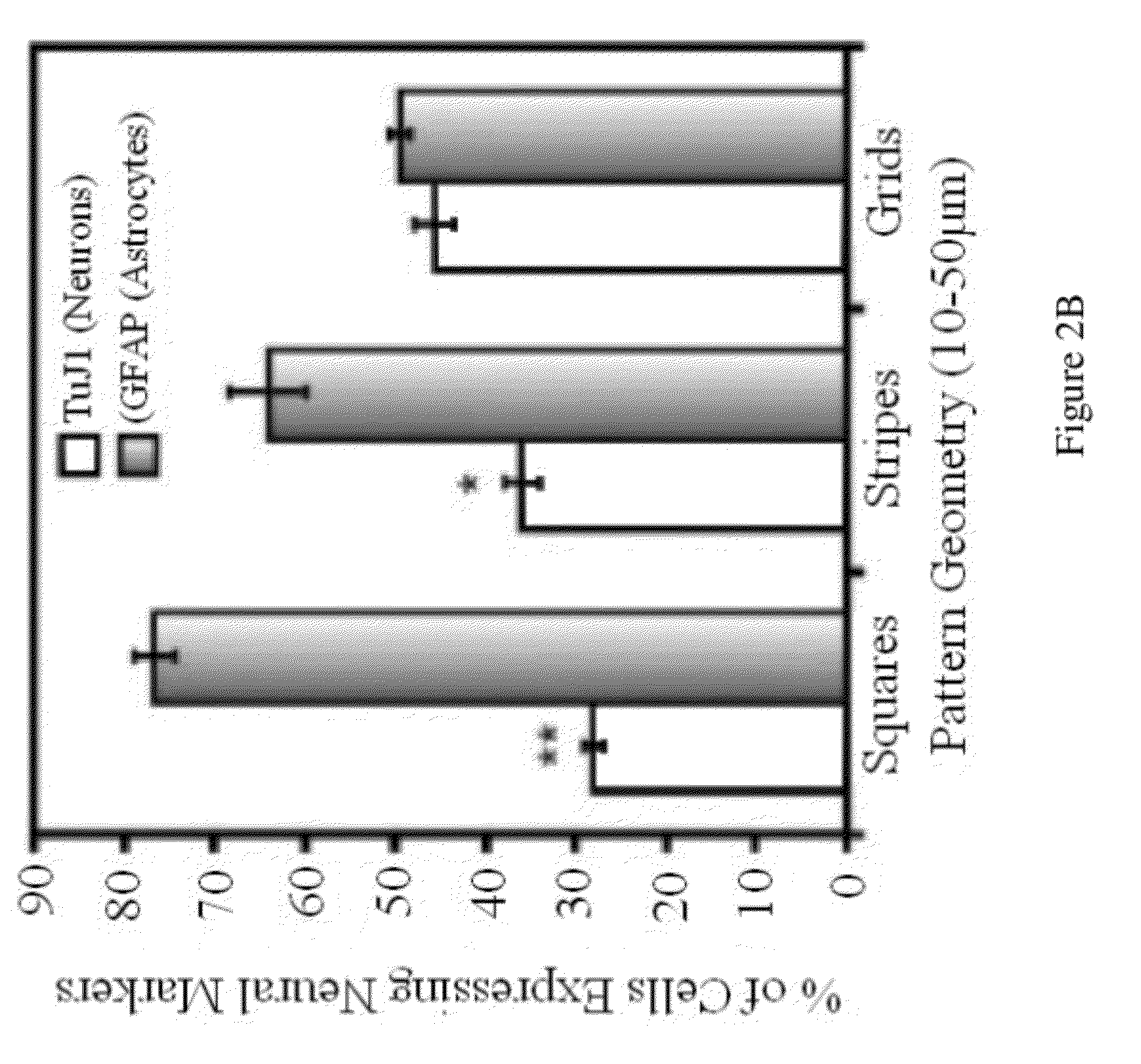 Stem cell differentiation using novel light-responsive hydrogels