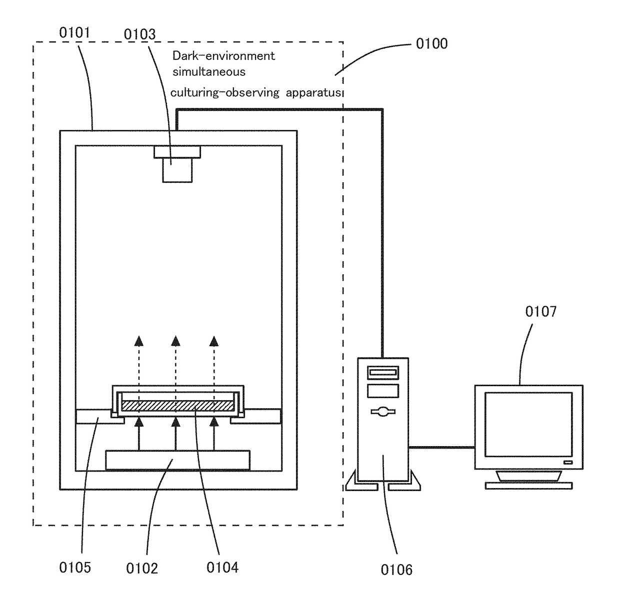 Dark-environment simultaneous culturing-observing apparatus