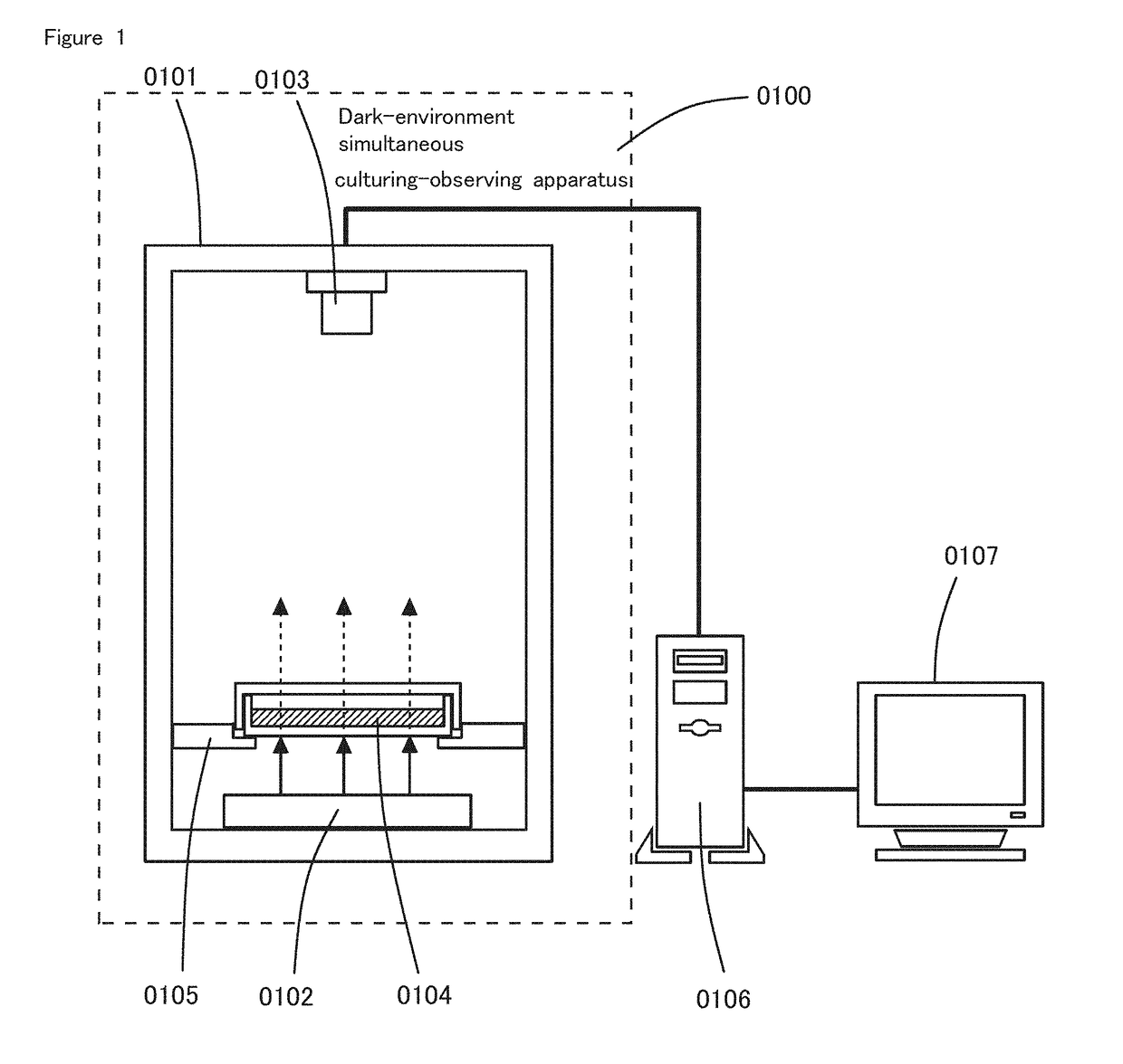 Dark-environment simultaneous culturing-observing apparatus