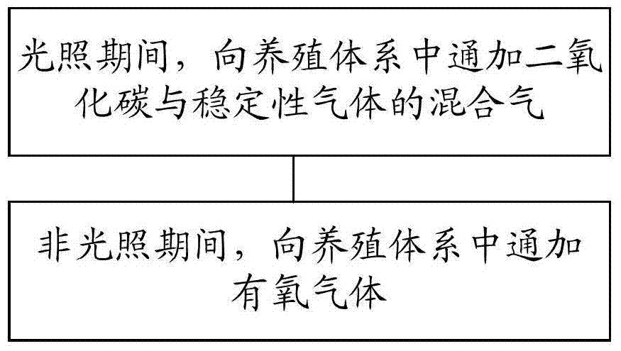 A kind of microalgae cultivation method