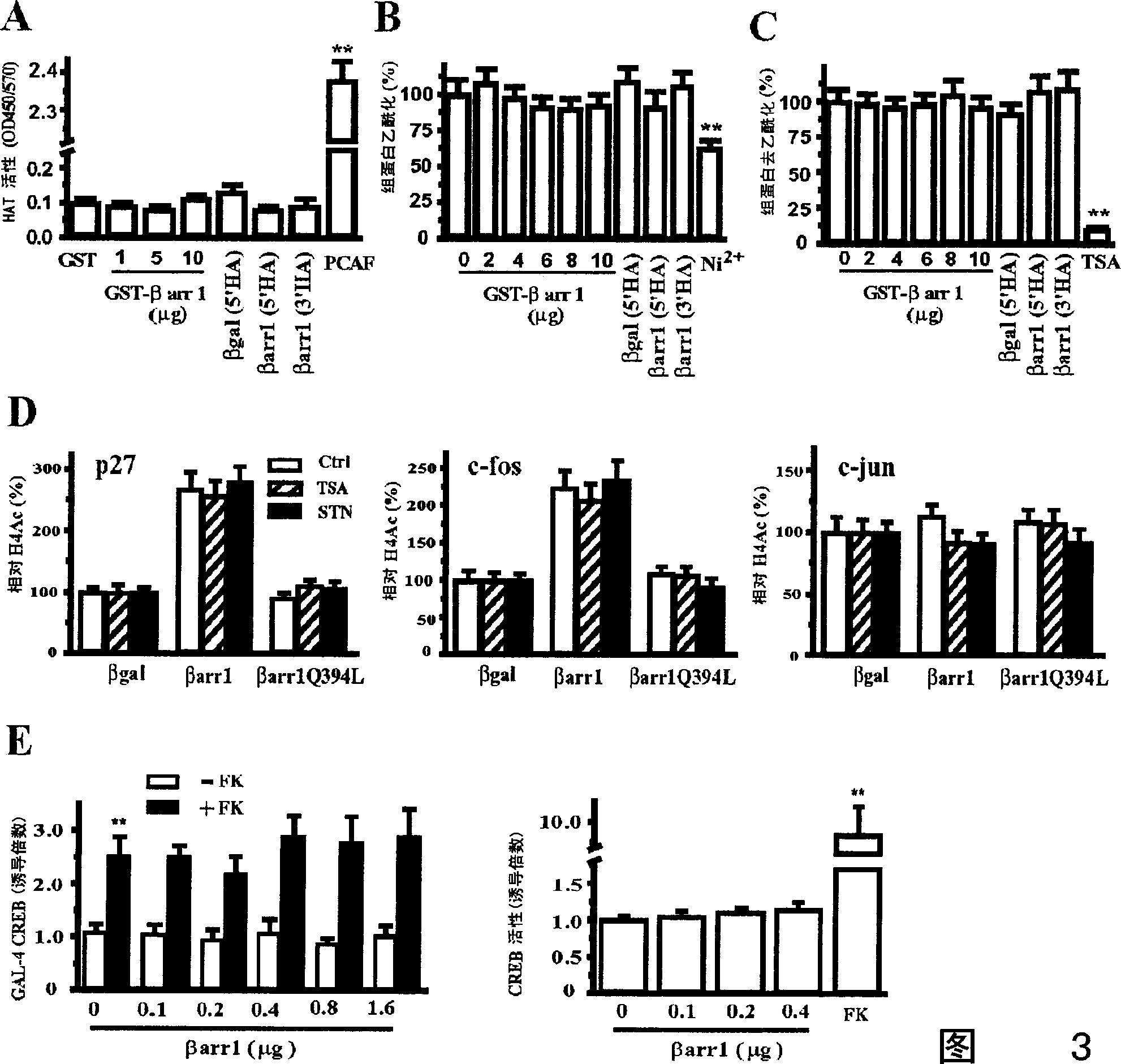 Application of beta-protein inhibitor in preparation of medicament for treating genetic correlated disease