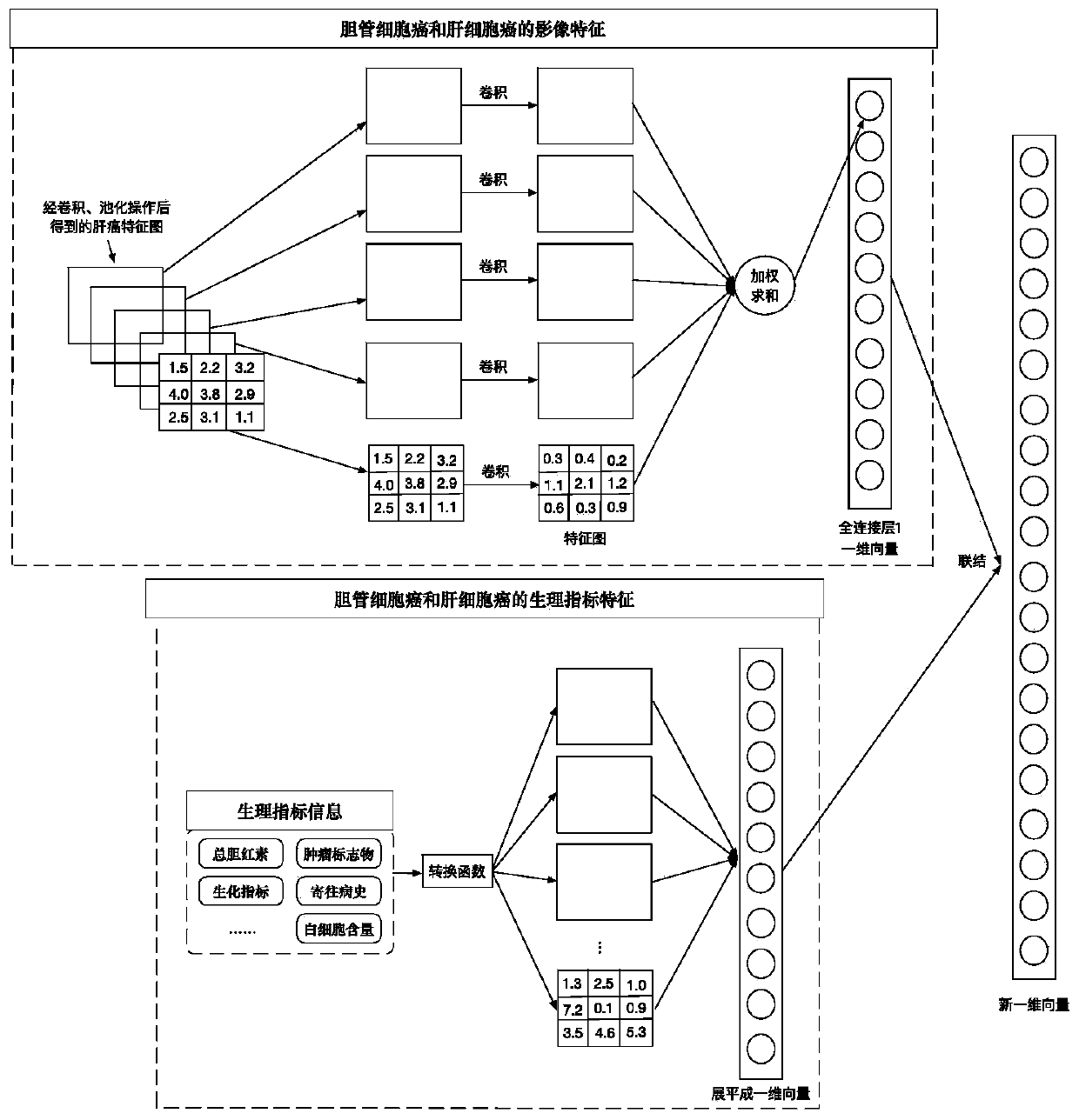 Automatic liver tumor classification method and device based on physiological indexes and image fusion