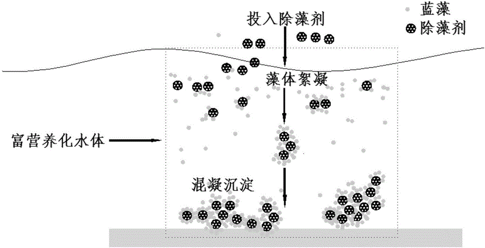 Preparing method of algicide base material, algicide and preparing method and application of algicide