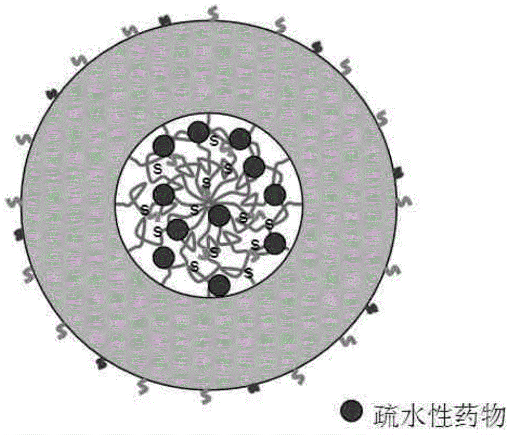 A kind of double sensitive responsive polymer nanomicelle and its preparation method and application