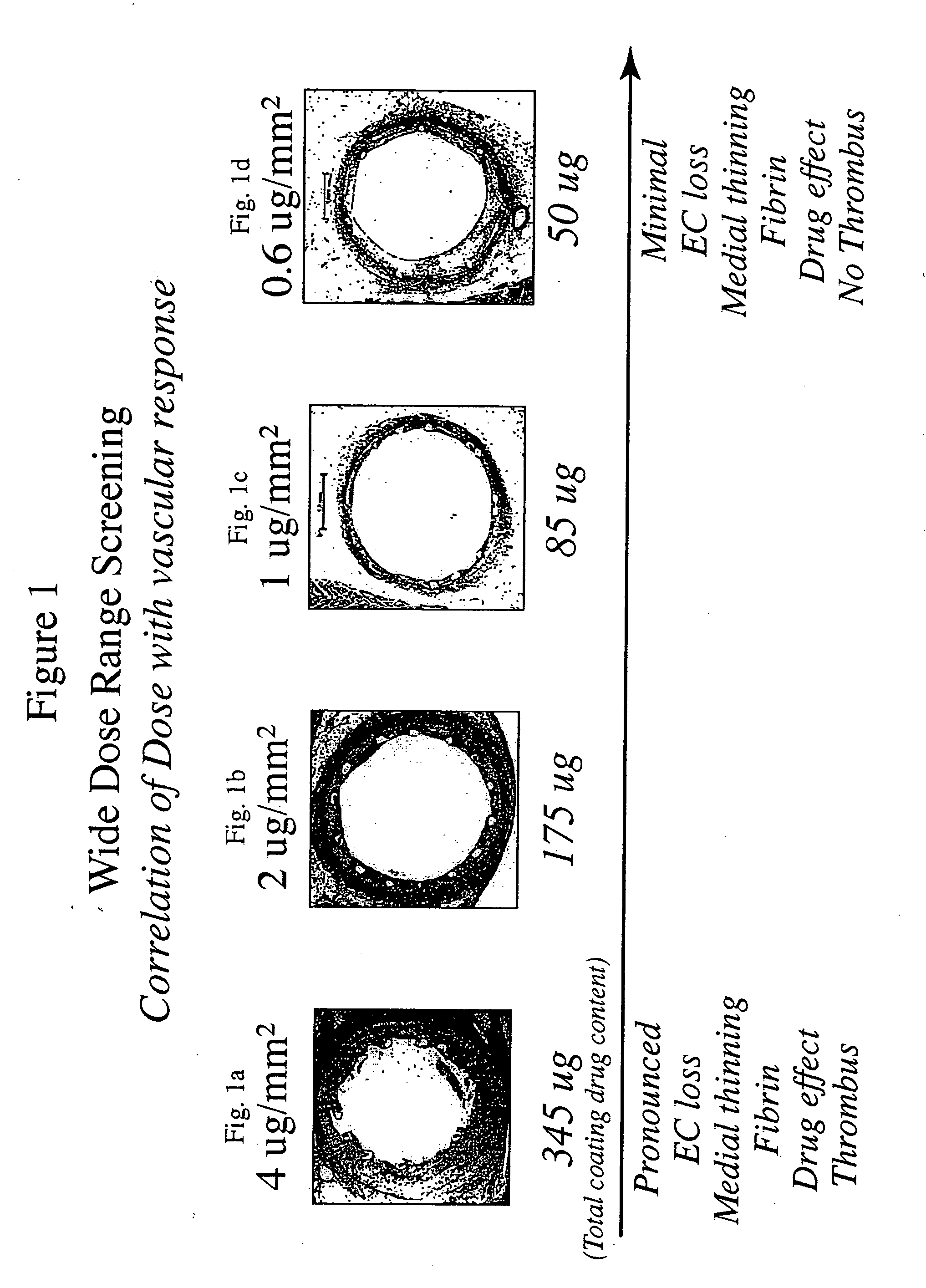 Optimized dosing for drug coated stents