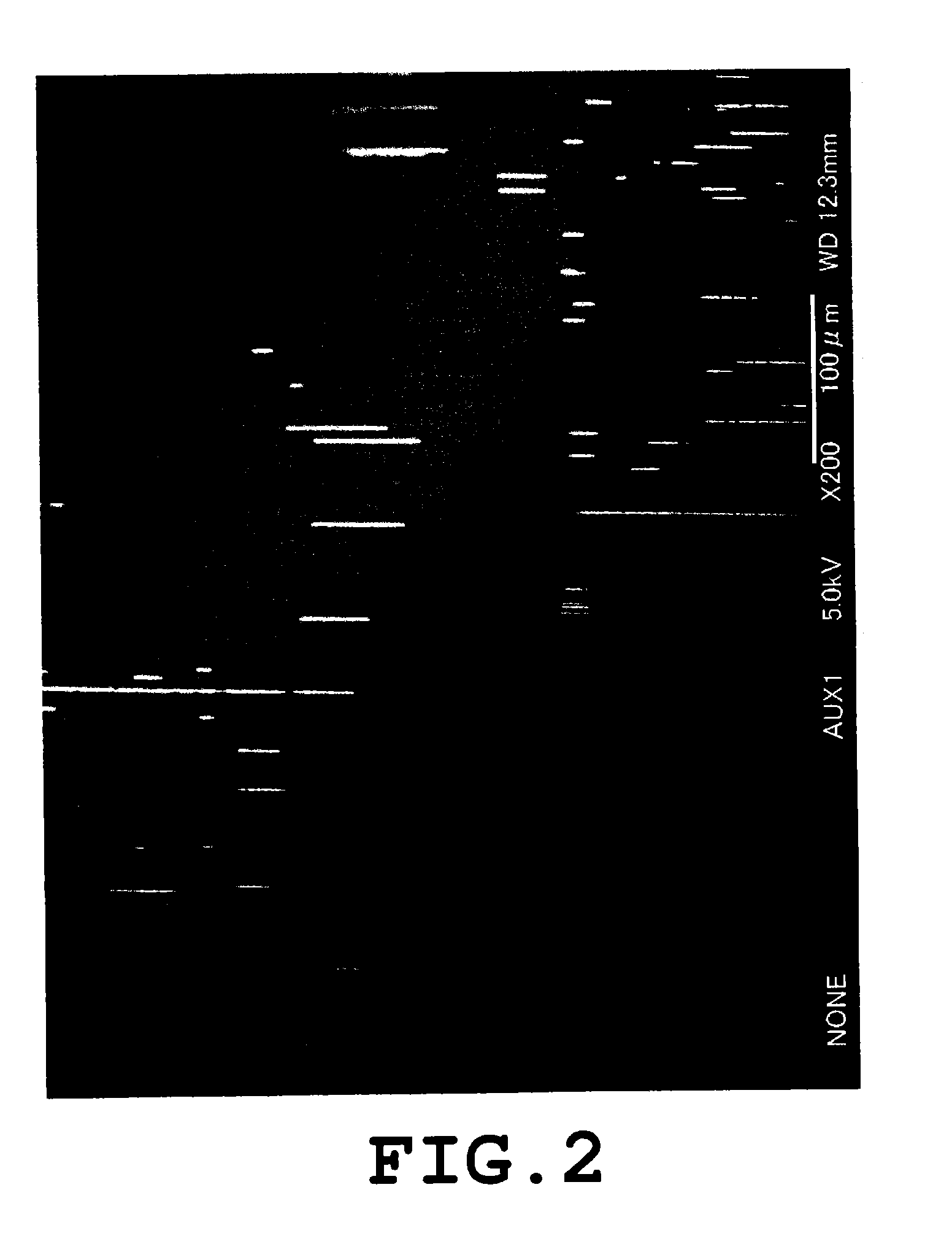 Periodic table group 13 metal nitride crystals and method for manufacturing periodic table group 13 metal nitride crystals