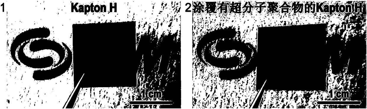 Atomic oxygen protective coating with physical damage spontaneous repairing function and preparation method thereof