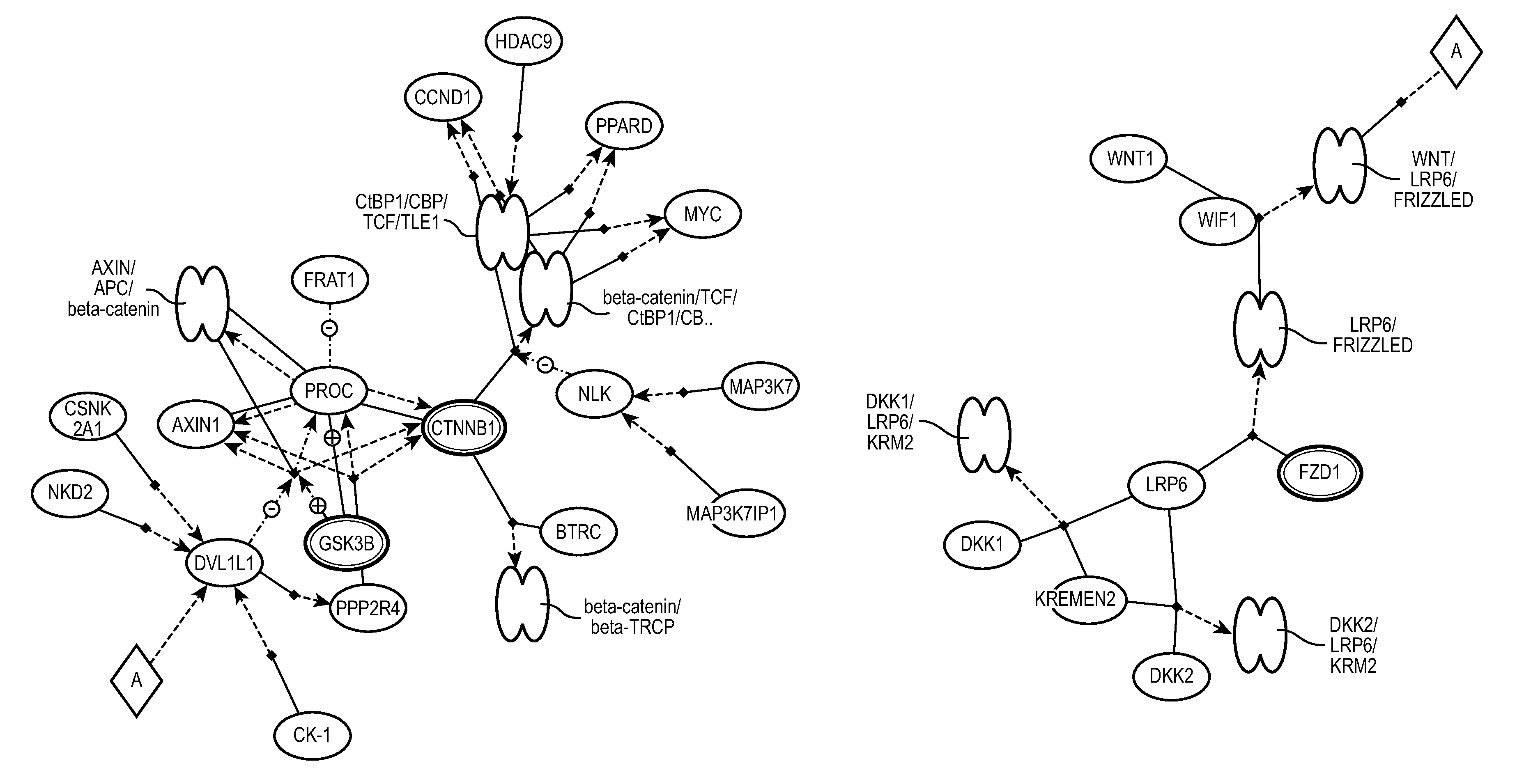 Pathway analysis for providing predictive information