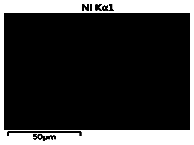 Method and system for recycling positive poles from waste lithium batteries and carrying out regeneration and repair