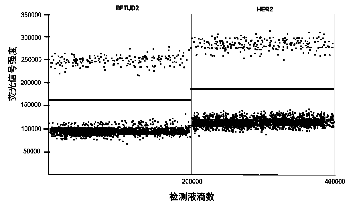 Kit for detecting copy number mutation of HER2 of CTCs based on ddPCR and method