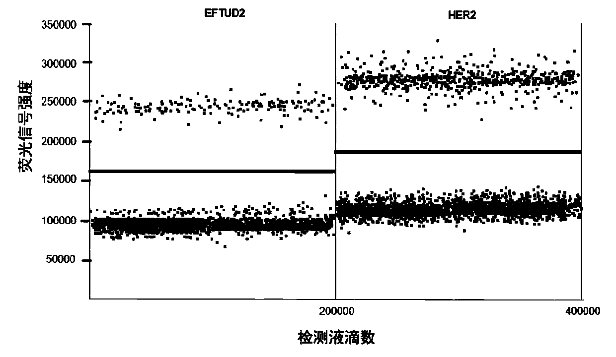 Kit for detecting copy number mutation of HER2 of CTCs based on ddPCR and method