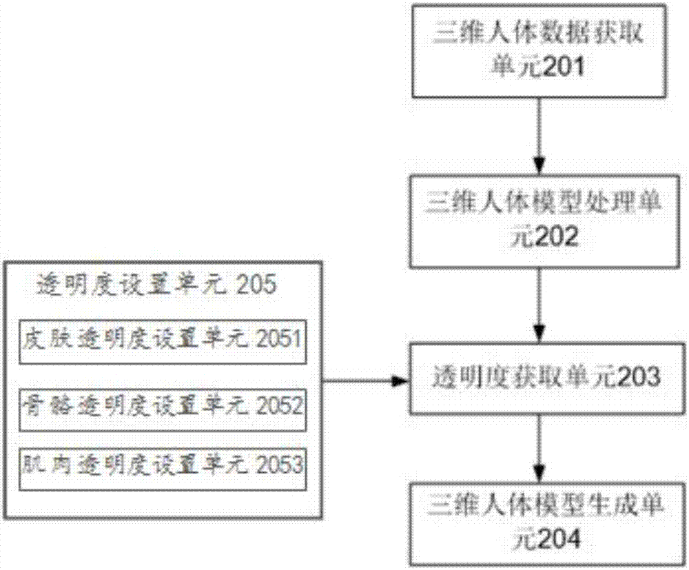 Three-dimensional human body model generation system and method