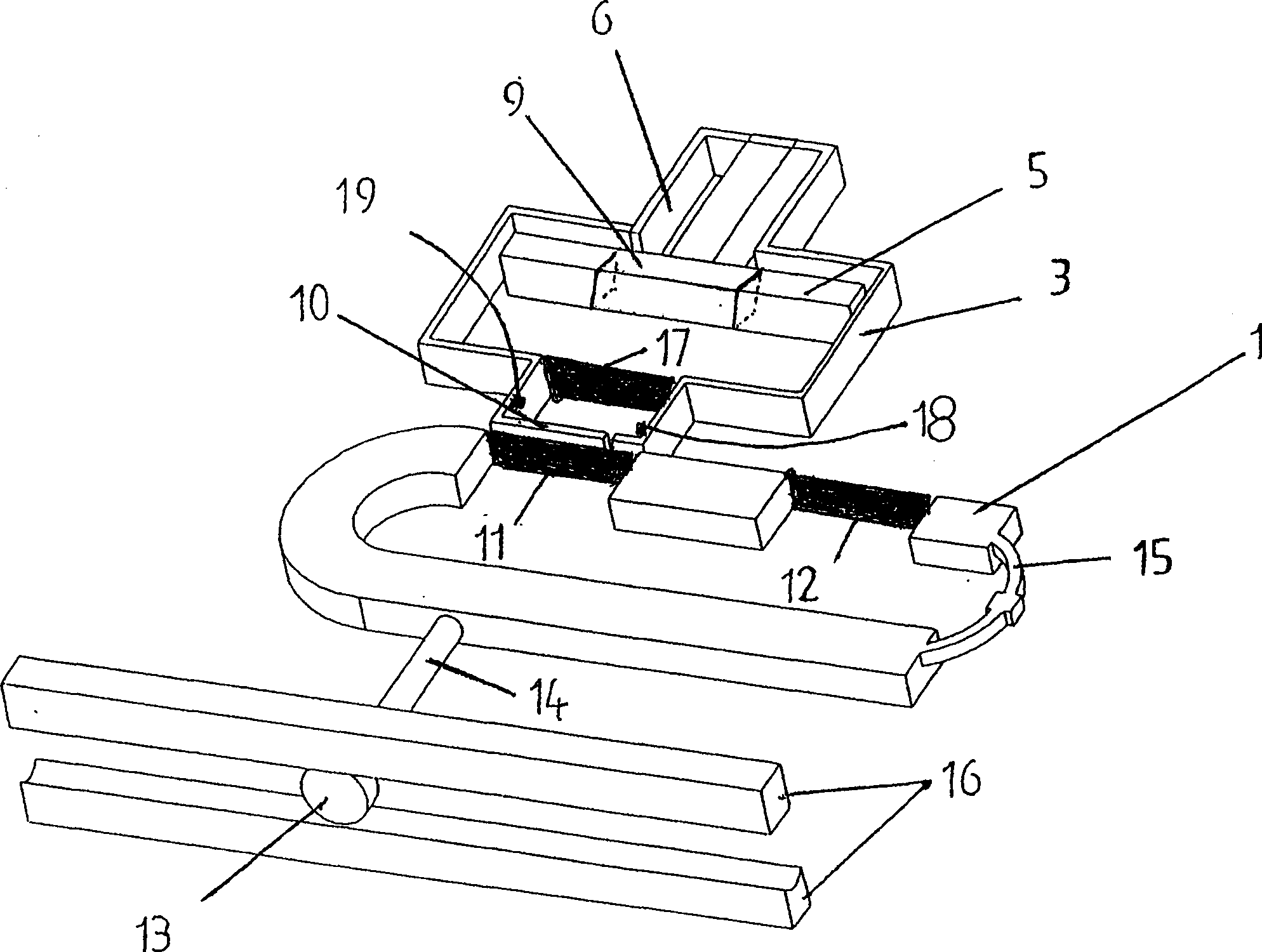 Automatic horse training system