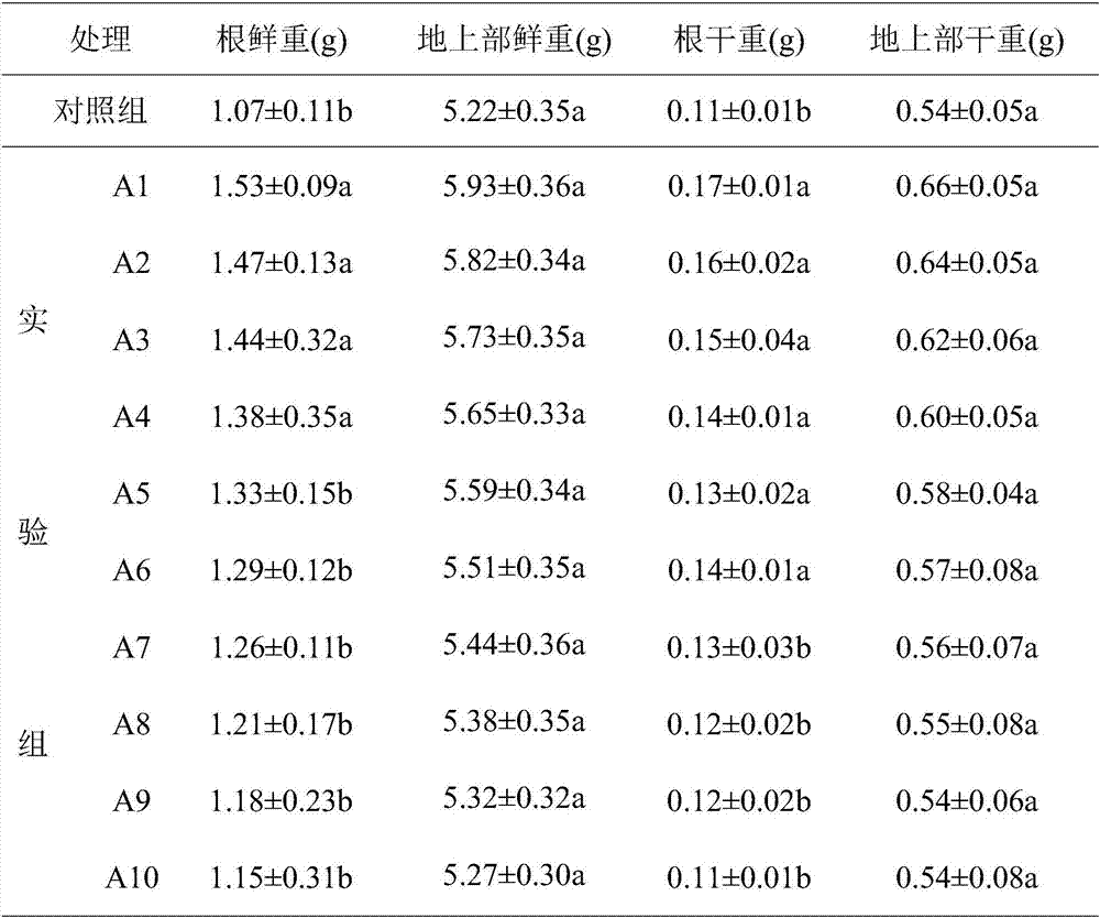 Method for using barley leach liquor to cultivate strong pepper seedlings under continuous cropping condition