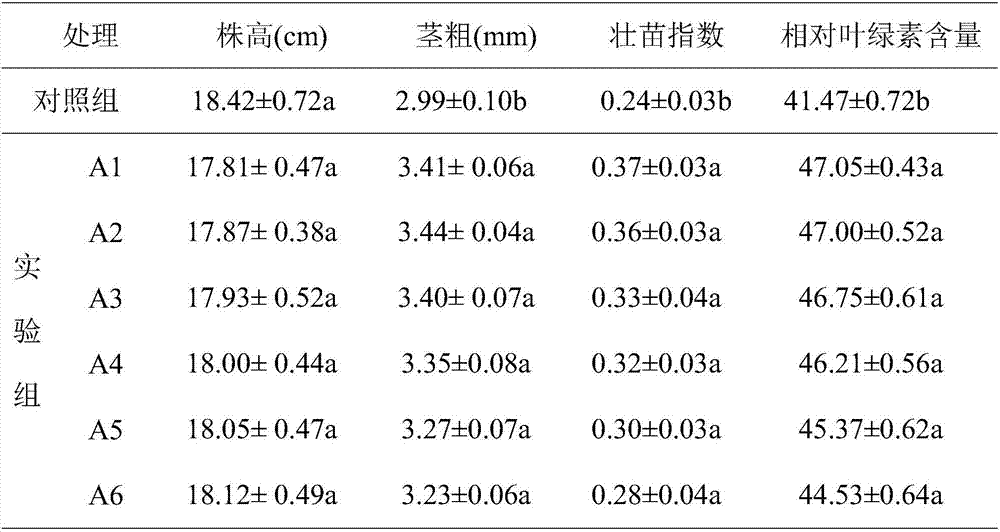 Method for using barley leach liquor to cultivate strong pepper seedlings under continuous cropping condition