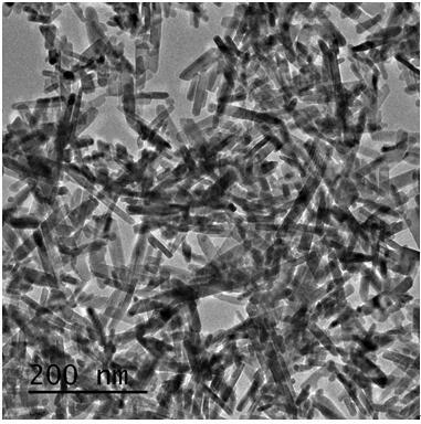 Rare earth Dy&lt;3+&gt;-doped indium tungstate nano material, preparation method and application thereof